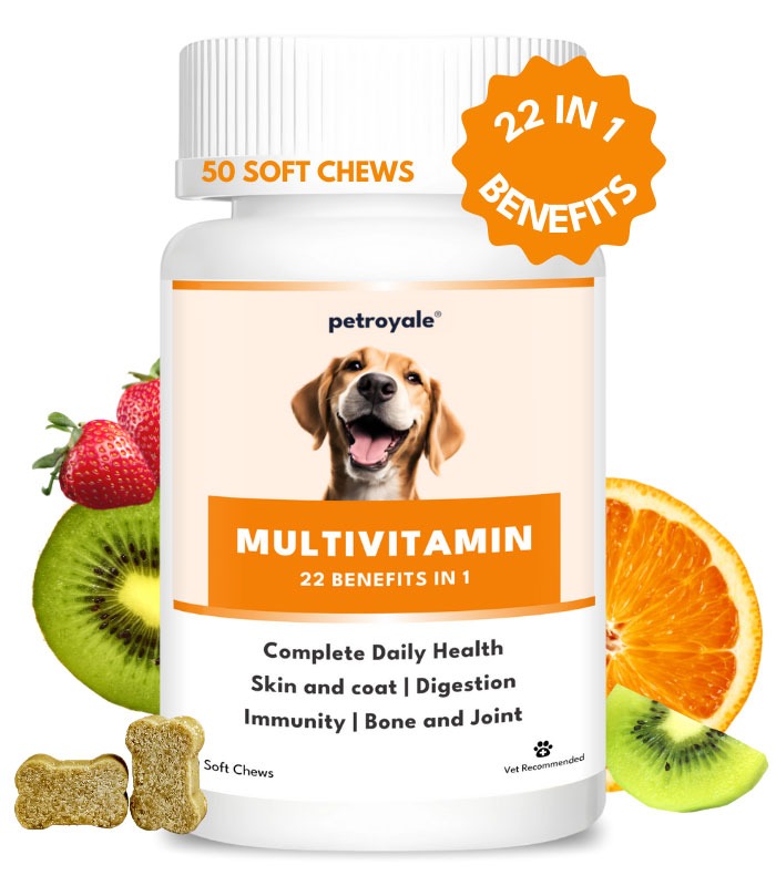 Multivitamin Chews for Dogs