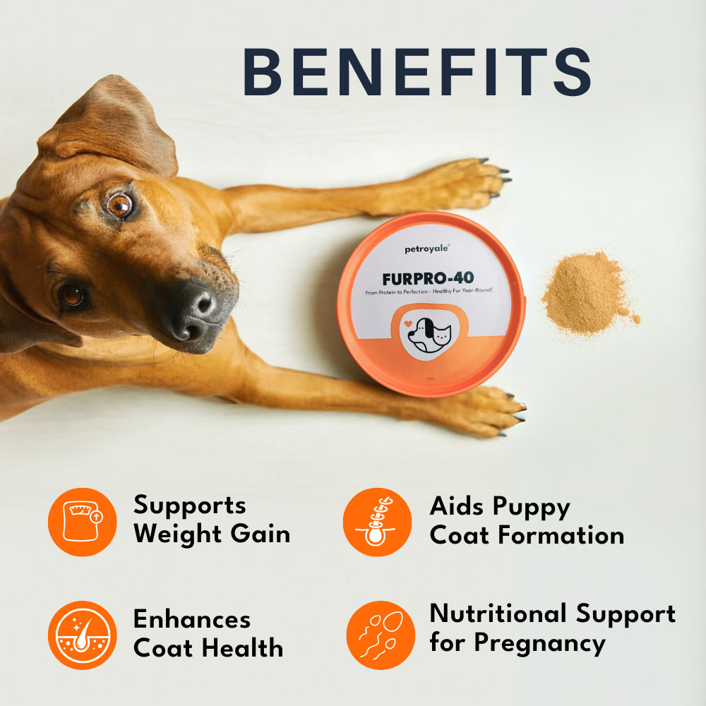3 FurPro-40 Best Shedding Control & Coat Vitalizer - Image 3
