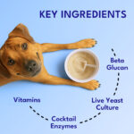 Digestive Probiotics for Dogs - Image 5