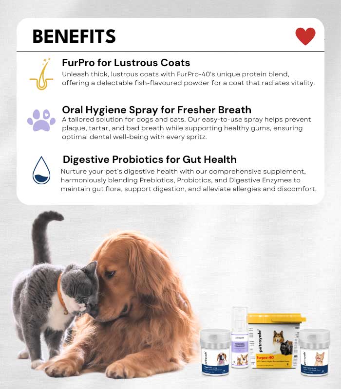 10 Fur Family Fusion - Image 10