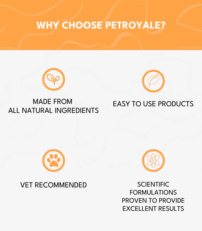 11 Fur Family Fusion - Image 11