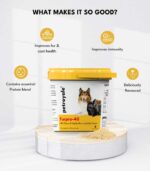 Fabulous Furs - Image 2