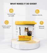 Fur Family Fusion - Image 2