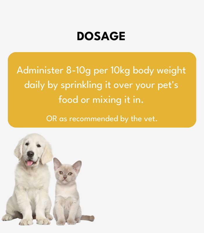 3 Fur Family Fusion - Image 3