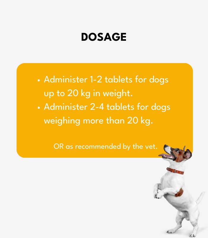 3 Dog Wellness Combo - Image 3