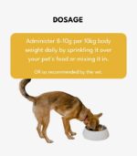 Fabulous Furs - Image 3