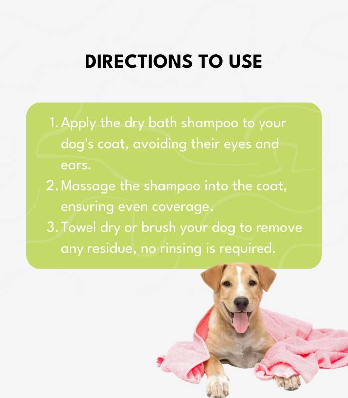 3 Dog Grooming - Image 2