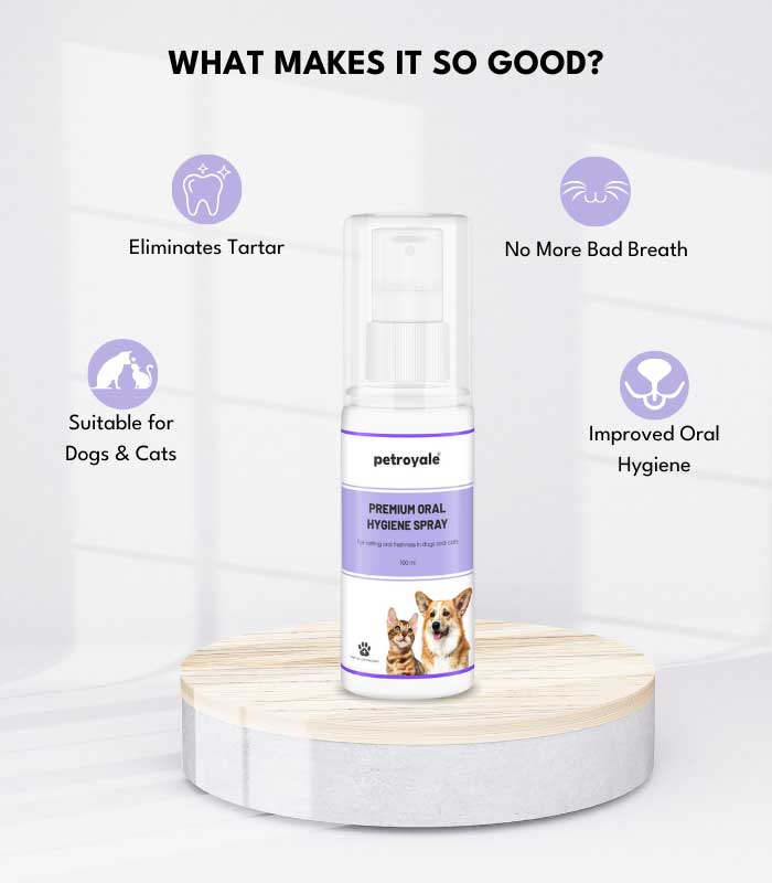 4 Fur Family Fusion - Image 4