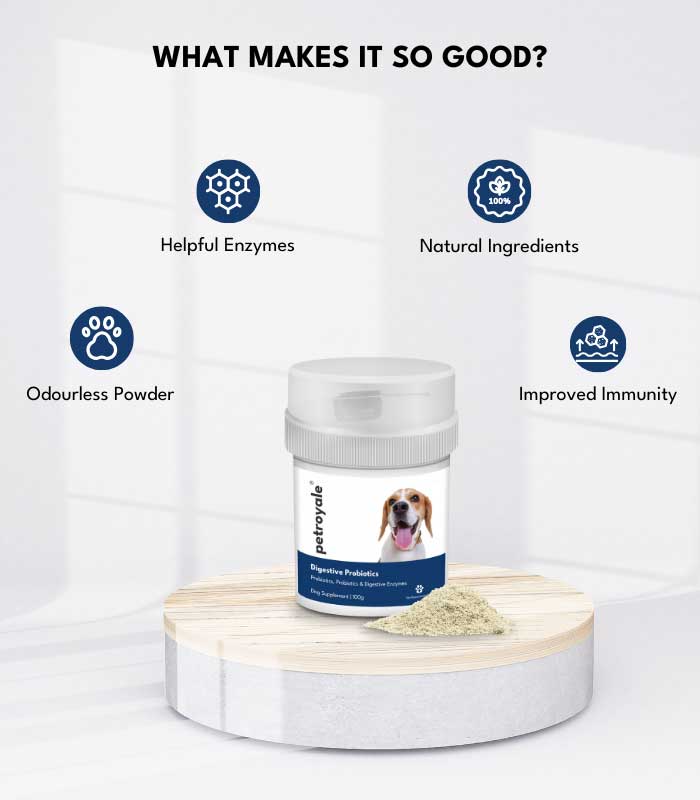 4 Dog Wellness Combo - Image 4