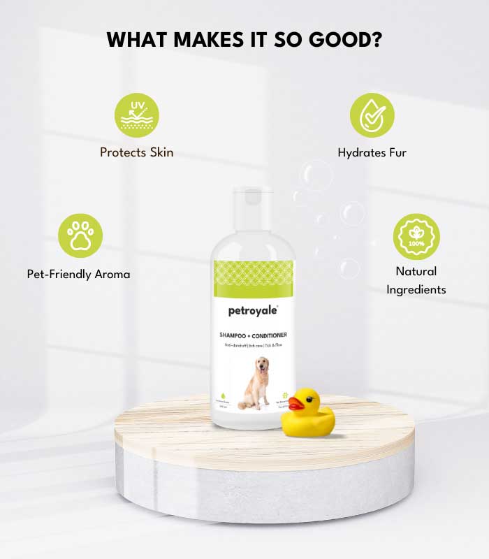 4 Dog Grooming - Image 3
