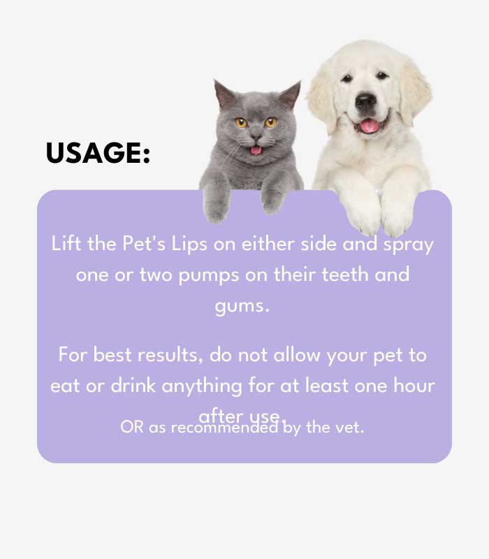 5 Fur Family Fusion - Image 5