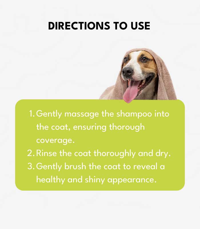 5 Dog Grooming - Image 4