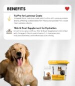 Fabulous Furs - Image 6