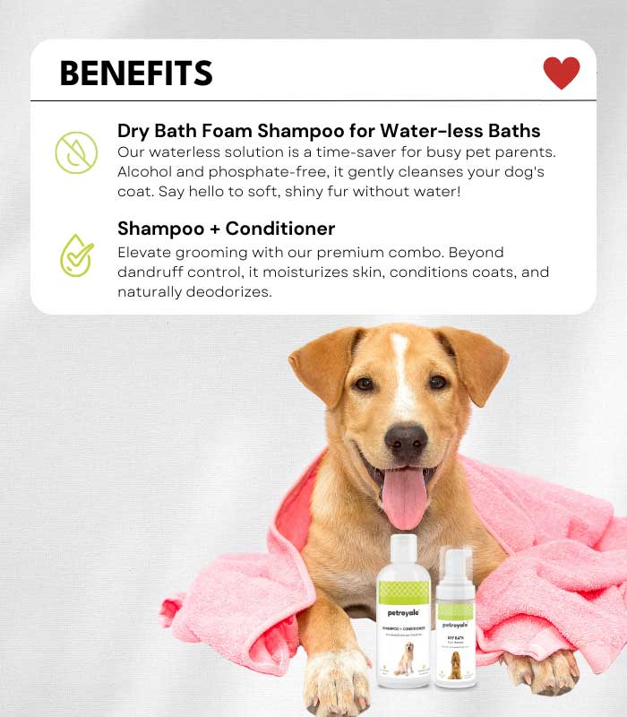 6 Dog Grooming - Image 5