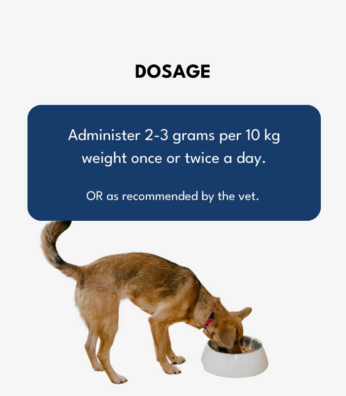 7 Fur Family Fusion - Image 7