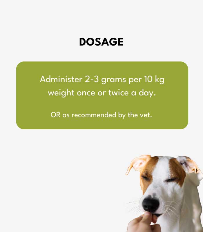 7 Dog Wellness Combo - Image 7