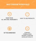 Fabulous Furs - Image 7