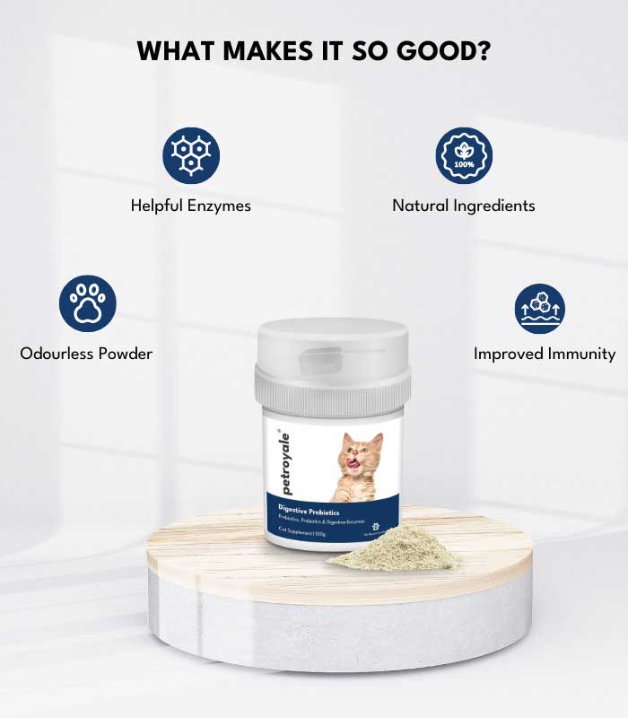 8 Fur Family Fusion - Image 8