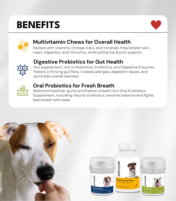 8 Dog Wellness Combo - Image 8