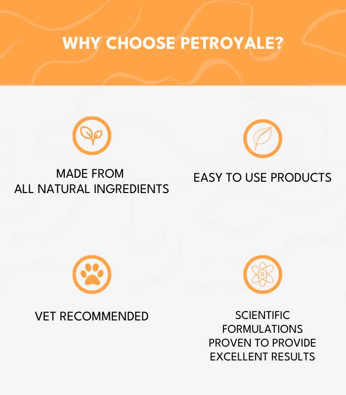 9 Dog Wellness Combo - Image 9