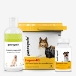 Starter Bundle for Dog