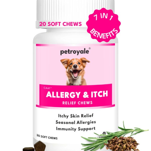 Allergy Itch Relief Chews for Dogs