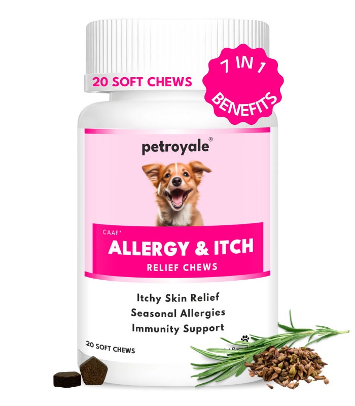 Allergy Itch Relief Chews for Dogs