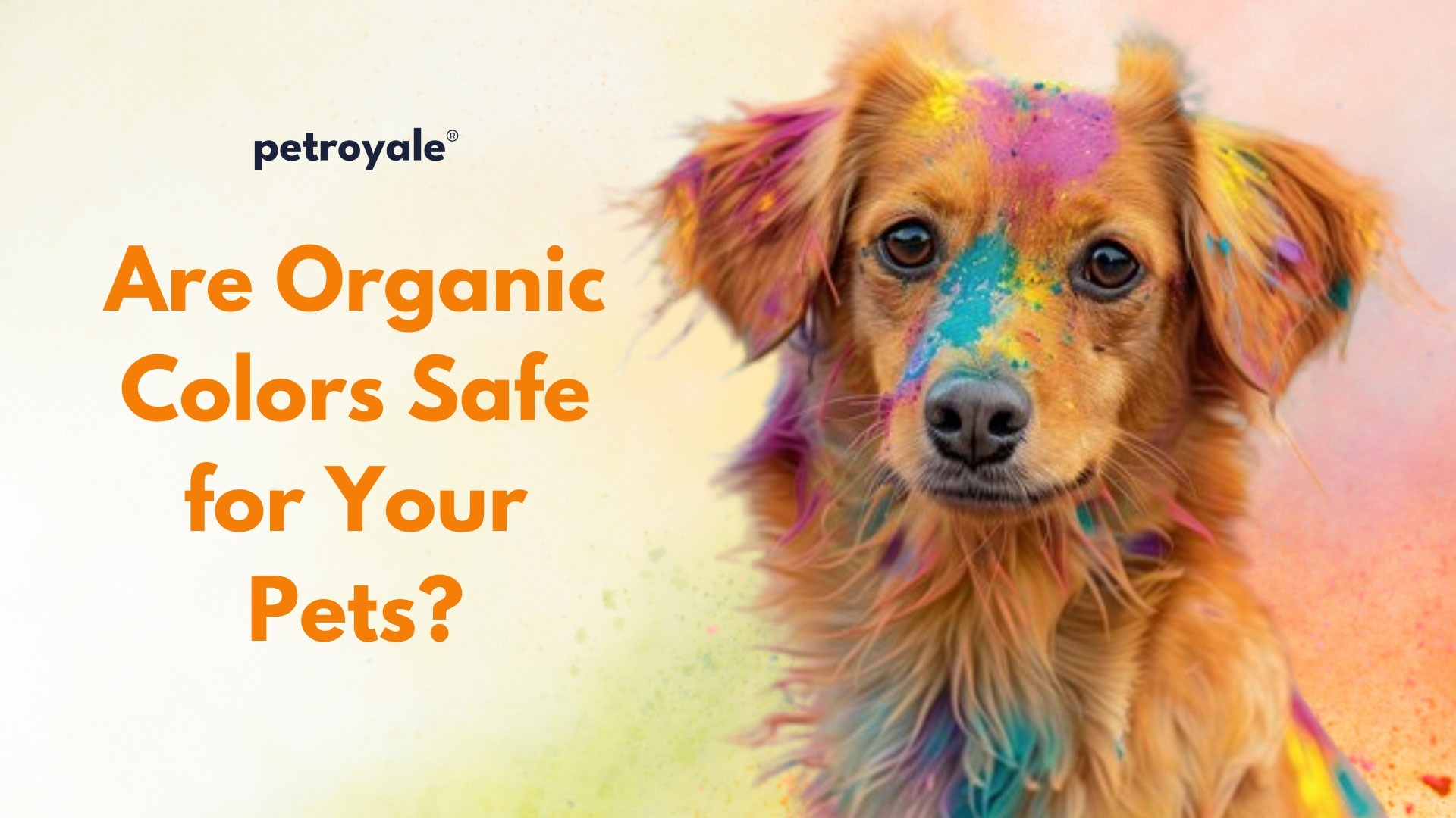 Organic Colors Safe for Your Pets