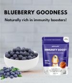 Petroyale Dehydrated Chicken Jerky for Dogs – Immunity Boost (Blueberries & Prebiotics) - Image 5
