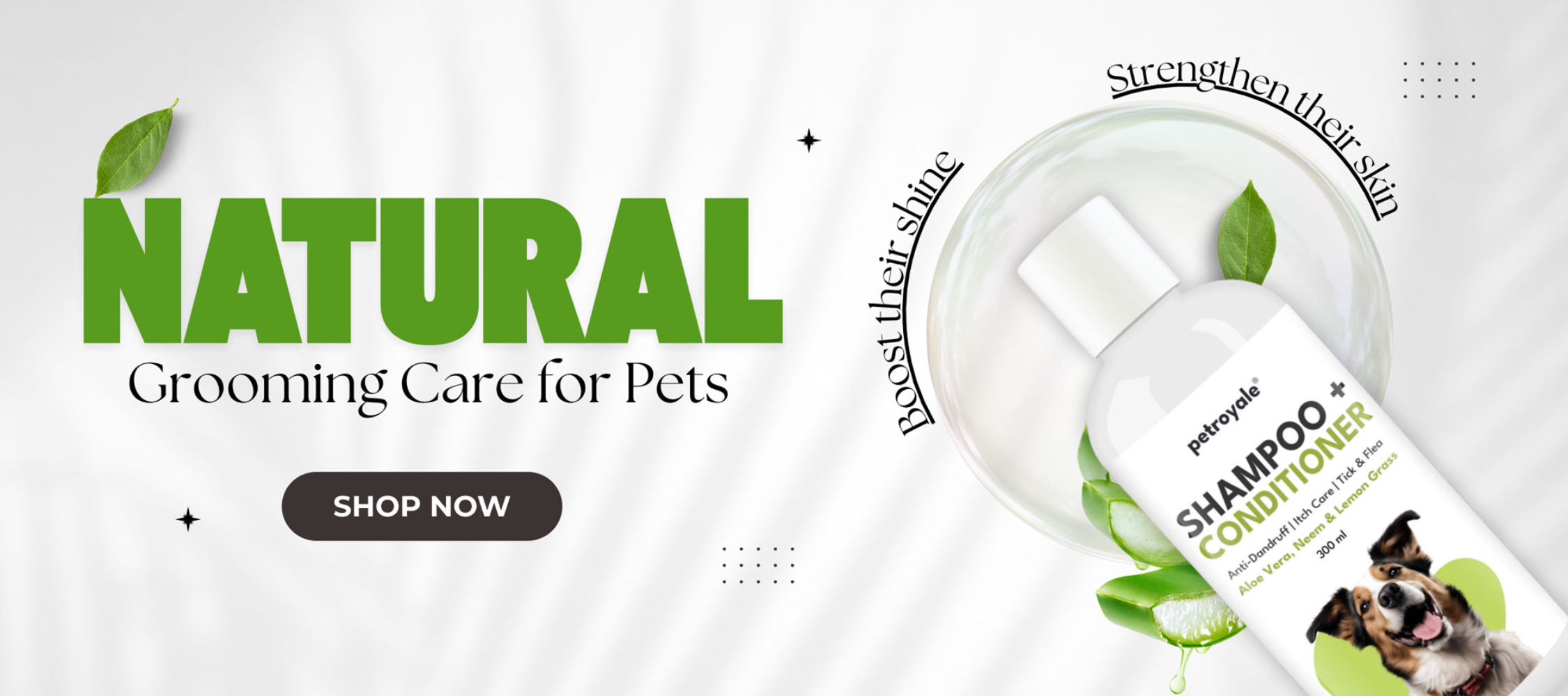 Shampoo-banner—-desktop