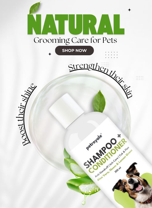 shampoo-banner—mobile