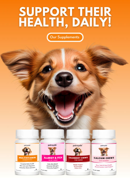 Supplements-Phone-Banner