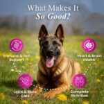 Senior Support — All-in-One Care (30 Soft Chews) - Image 2