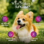 Daily One – All-in-One Supplement for Dogs - Image 2
