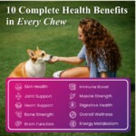 Daily One – All-in-One Supplement for Dogs - Image 3