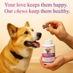Daily One – All-in-One Supplement for Dogs - Image 7
