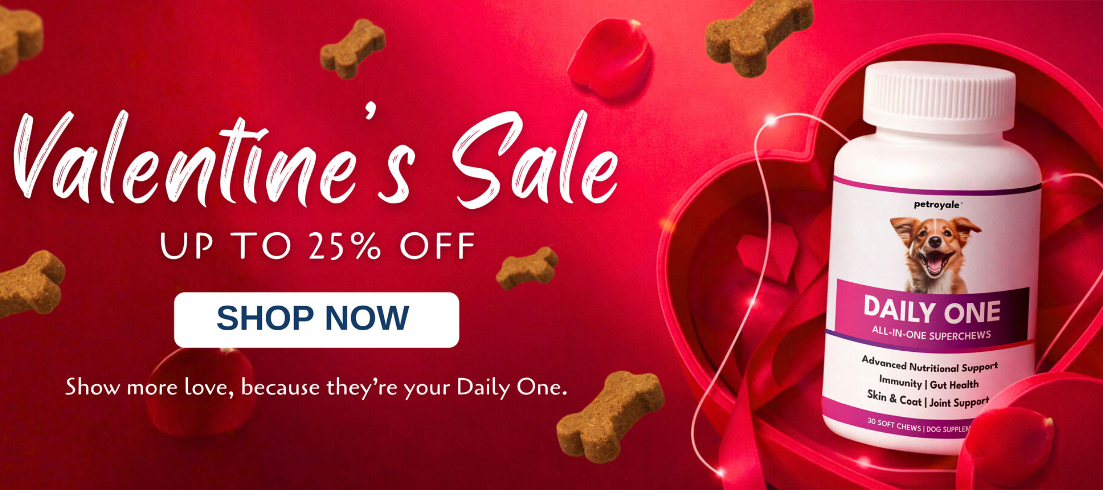 VALENTINE-WEBSITE-BANNER.jp