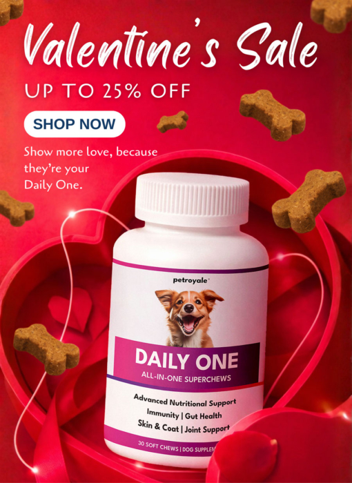 valentine’s-websitebbanner-