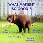 Petroyale Pre+Probiotic Gut Health Chews - Image 2