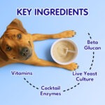 Petroyale Pre+Probiotic Gut Health Chews - Image 4