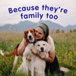 Petroyale Pre+Probiotic Gut Health Chews - Image 3